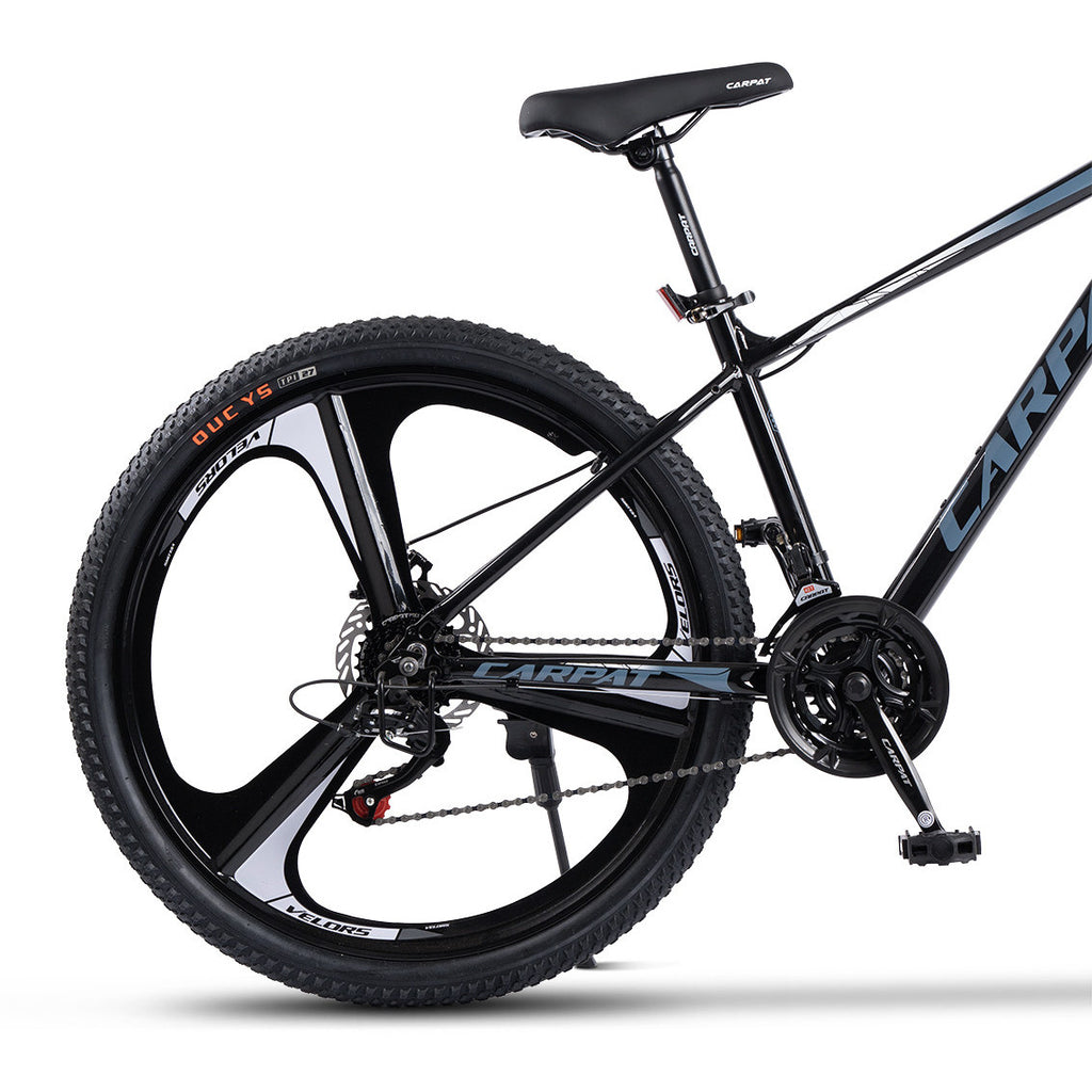 Carpat Evolution 2 - 27.5"