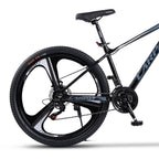 Carpat Evolution 2 - 27.5"