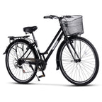 Carpat Clasic - 28"
