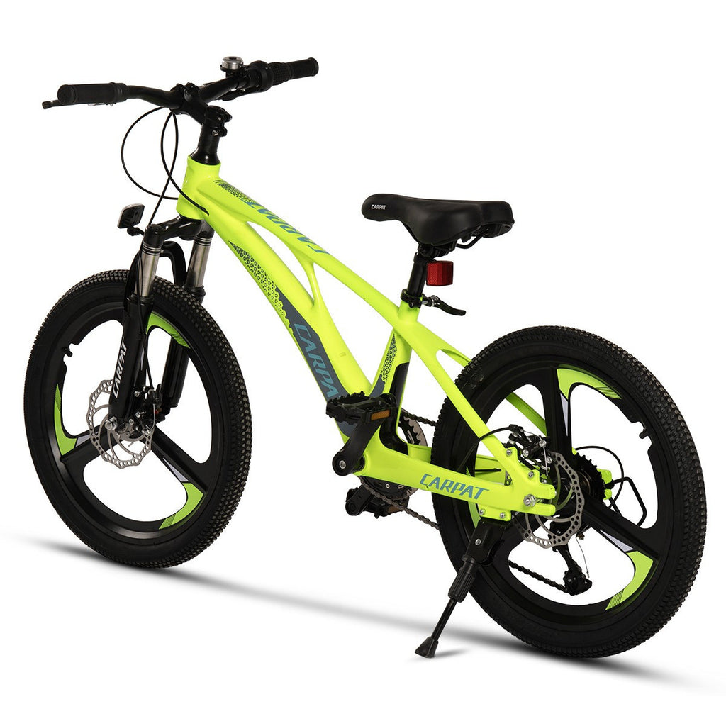 Carpat Spoke - 20"
