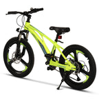 Carpat Spoke - 20"