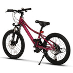 Carpat Polestar - 20"
