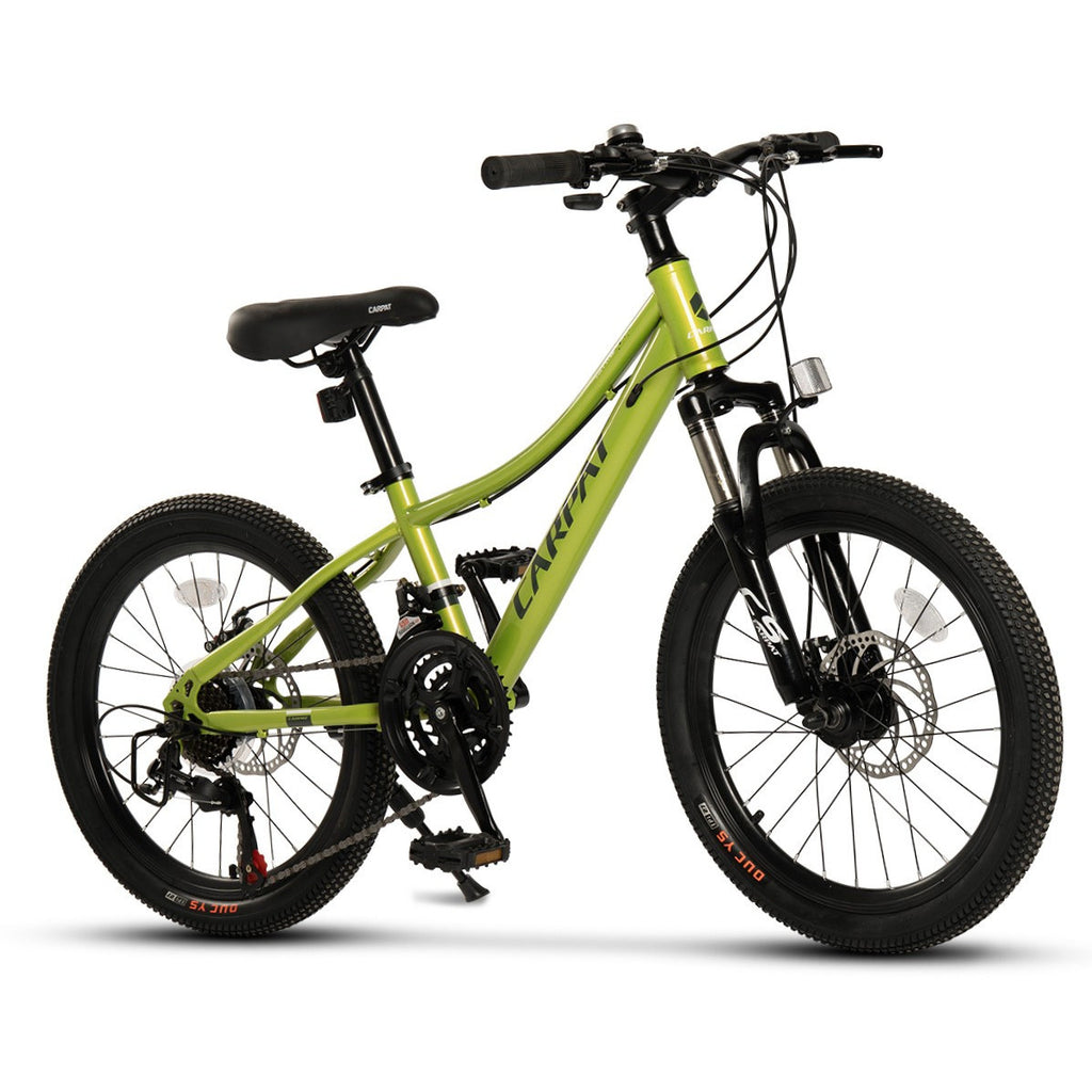 Carpat Polestar - 20"