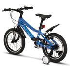 Carpat Polestar Junior - 16"