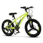 Carpat Spoke - 20"