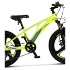 Carpat Spoke - 20"