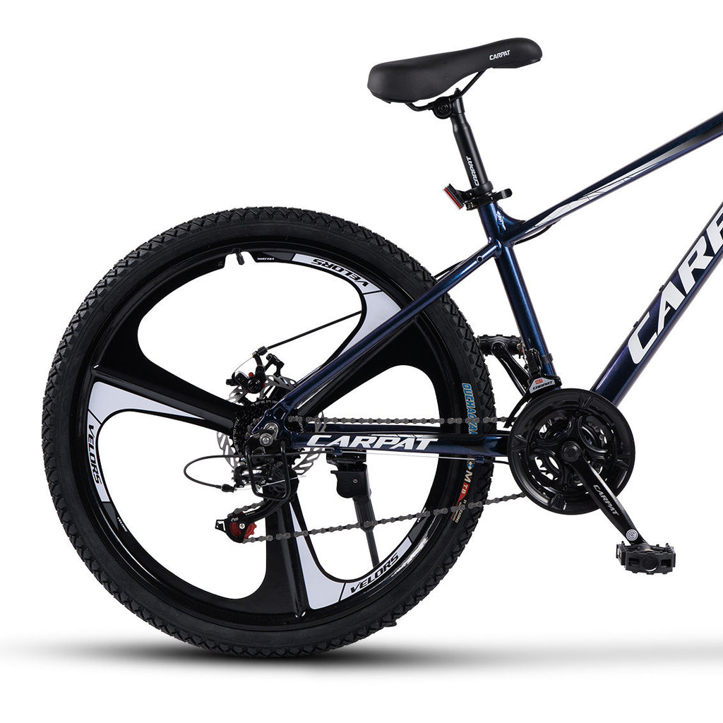 Carpat Evolution 2 - 26"