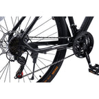 Carpat Invictus - 29"