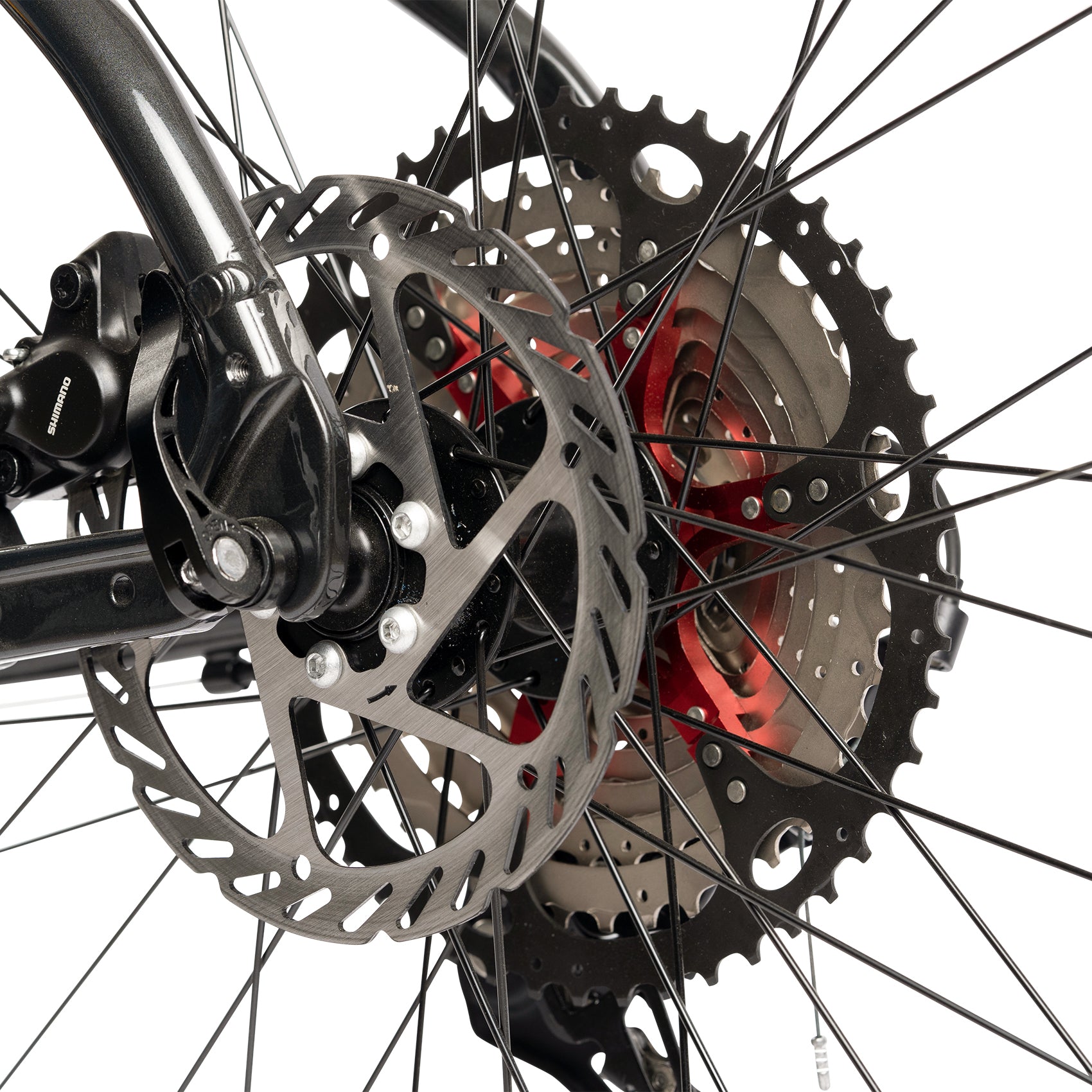 Carpat Pro Trek - 29"