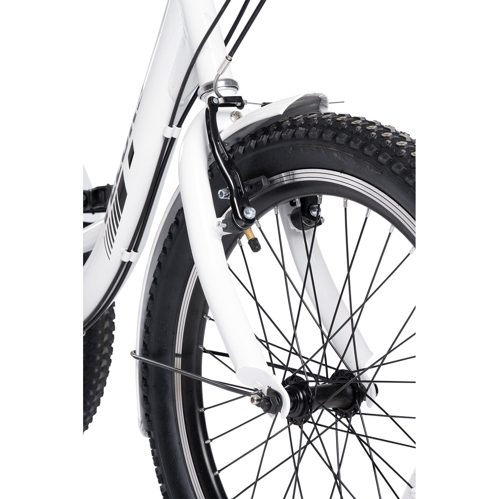 Velors Senior - 20"