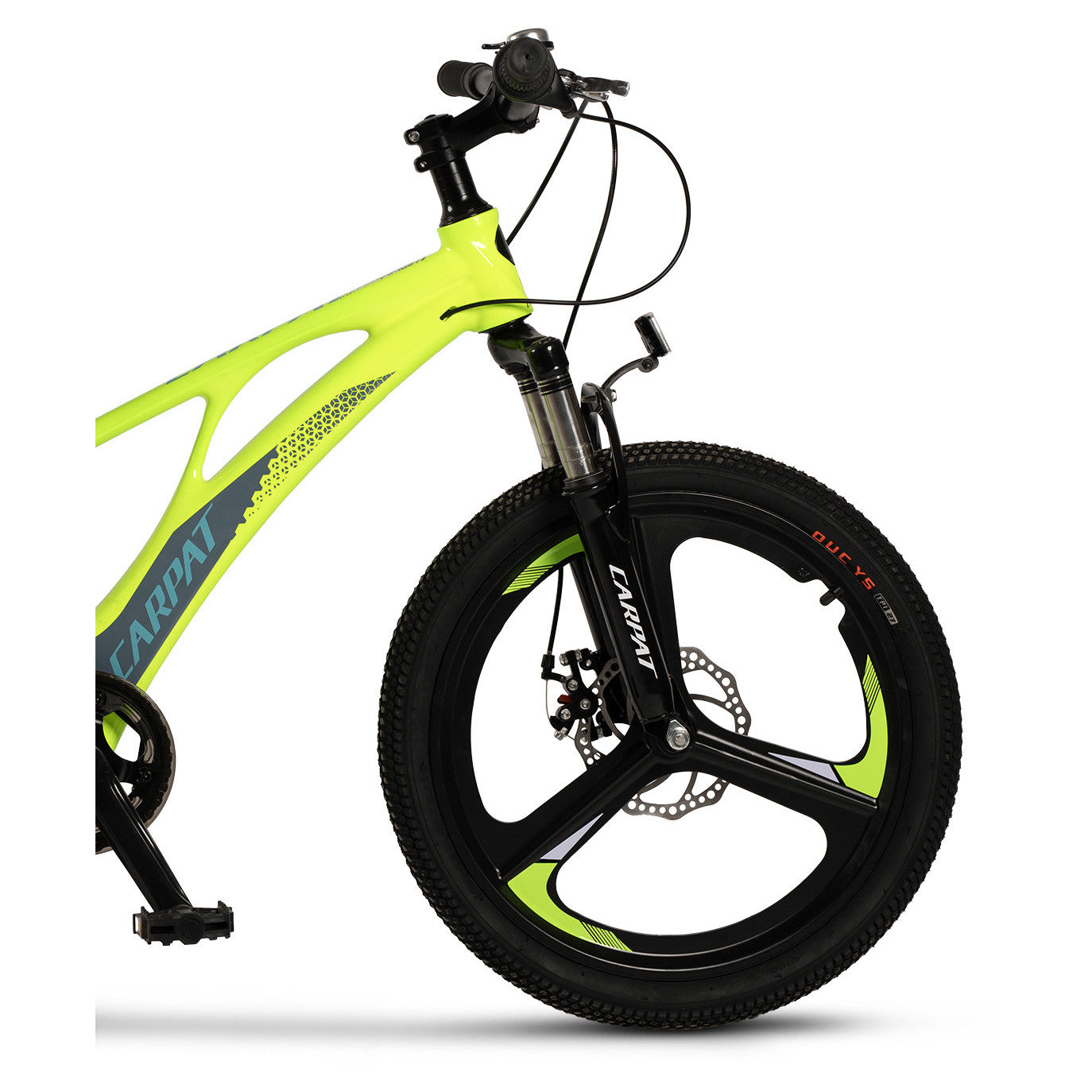 Carpat Spoke - 20"