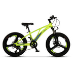 Carpat Spoke - 20"