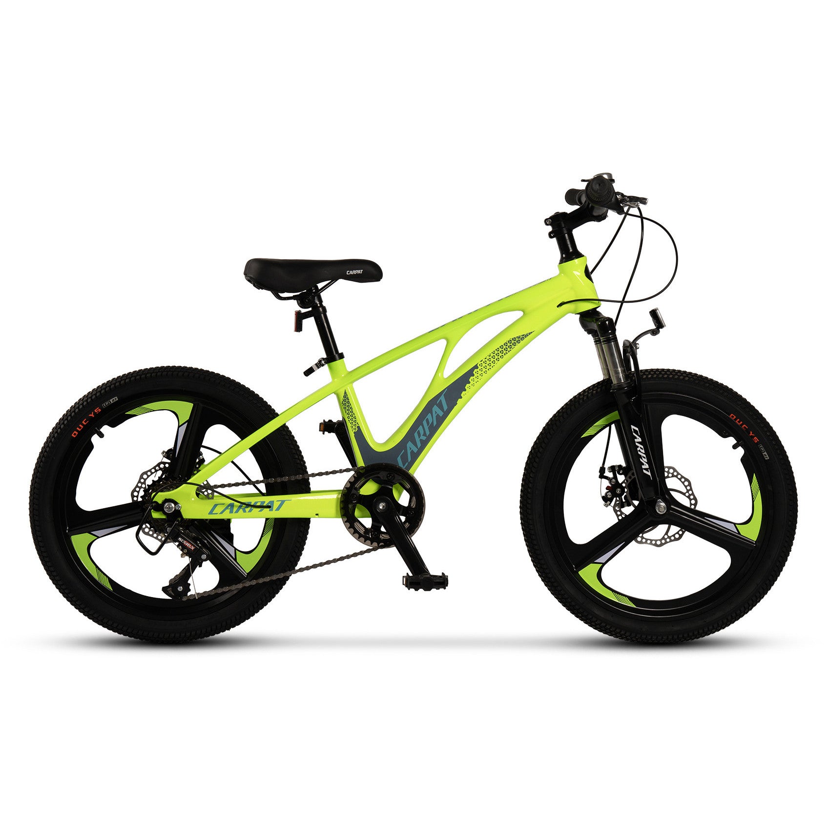 Carpat Spoke - 20"