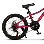 Carpat Polestar - 20"