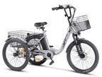Carpat e-Senior - 24"